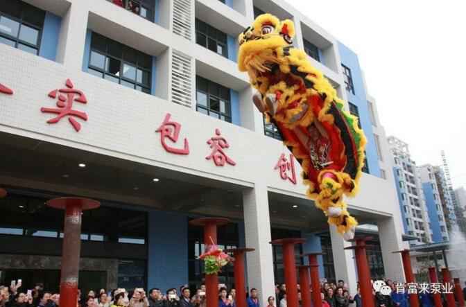 醒狮贺岁,星空网页版登录入口-星空(中国)2019年开工大吉